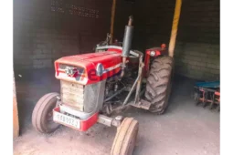 Massey Ferguson MF 165 full